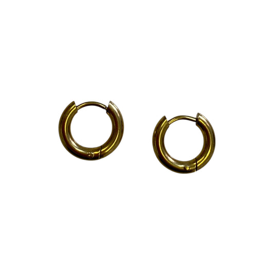 Chunky Gold Stainless Steel Huggie Hoop